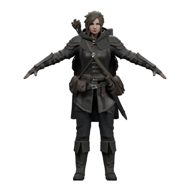 Generated armored adventurer